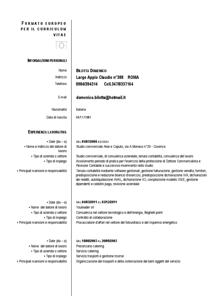 CV Domenico Bilotta Roma | PDF