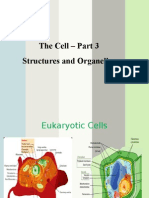 cell organelles