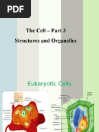 Cell Organelles Worksheet KEY | Organelle