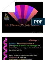 Business Portfolio Analysis