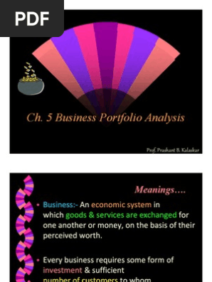 Business Portfolio Analysis