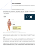 Fiziologia Umana La Altitudini Mari