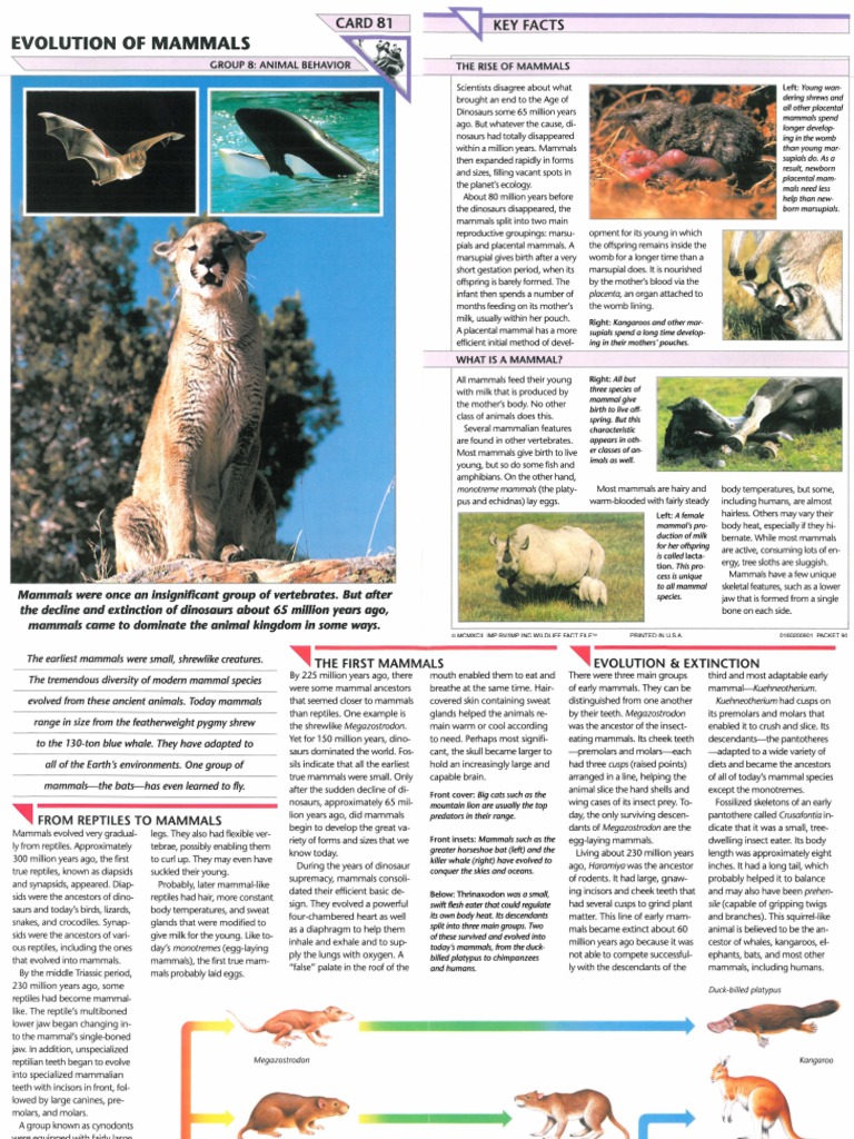 Wildlife Fact File - Animal Behavior - Pgs. 81-90 | PDF | Fish | Mammals