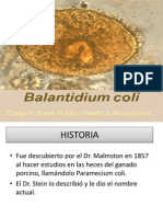 Parasitologia: Balantidium Coli, Flajelados Comensales.