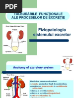 Sediment Urinar Rare Epitelii Plate Rar Mucus
