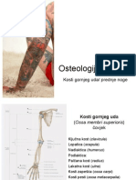 Osterologija