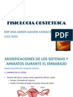 Fisiologia Obstetrica Gine Mips