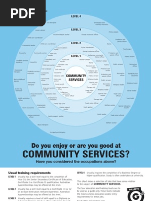 Community Services Bullseye Chart