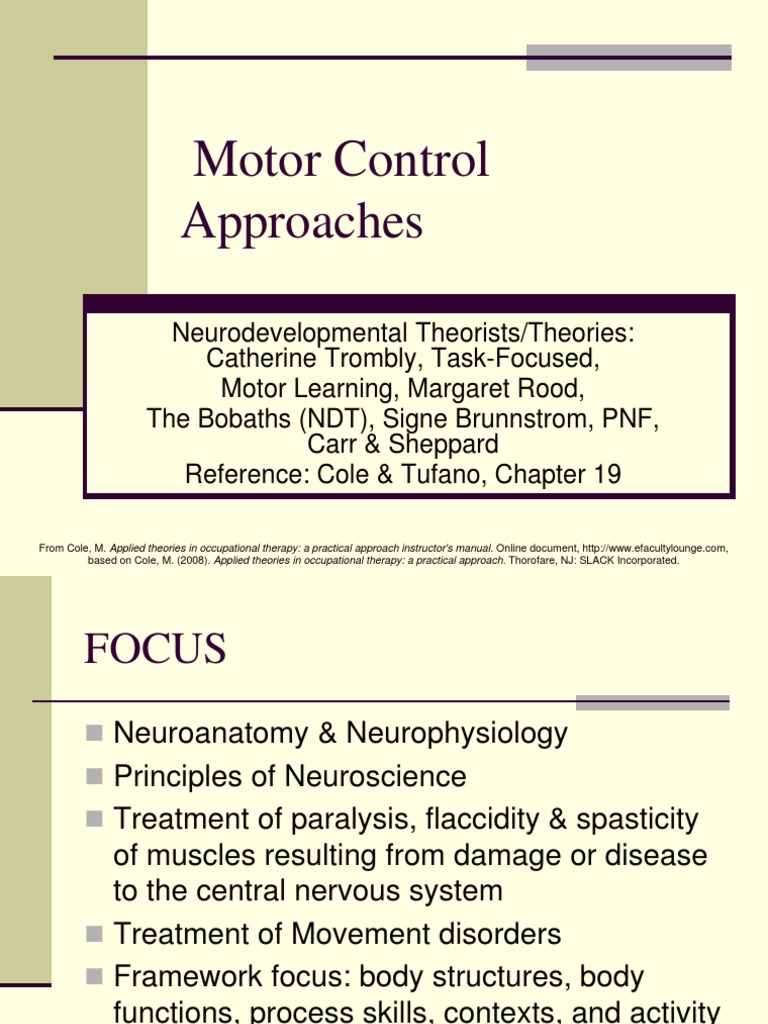 MOTOR CONTROL Motor Control Occupational Therapy