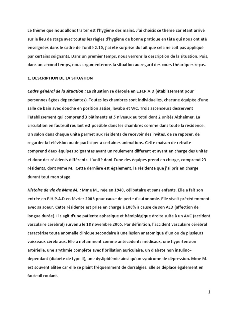 Exemple D Analyse De Situation D Hygiène Ifsi