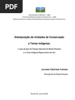 Sobreposição de Unidades de Conservação e Terras Indígenas