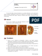 Dissecção Do Rim