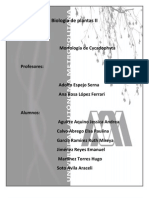 Biología de Plantas II Practica 1