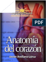 AnatomIa Del Corazón