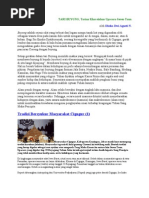 Download TARI BUYUNG 2doc by Emi Martini SN122300557 doc pdf