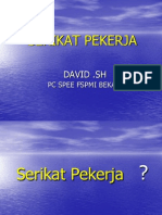 Serikat Pekerja