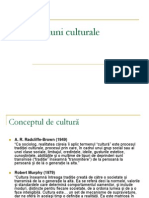 Dimensiuni Culturale