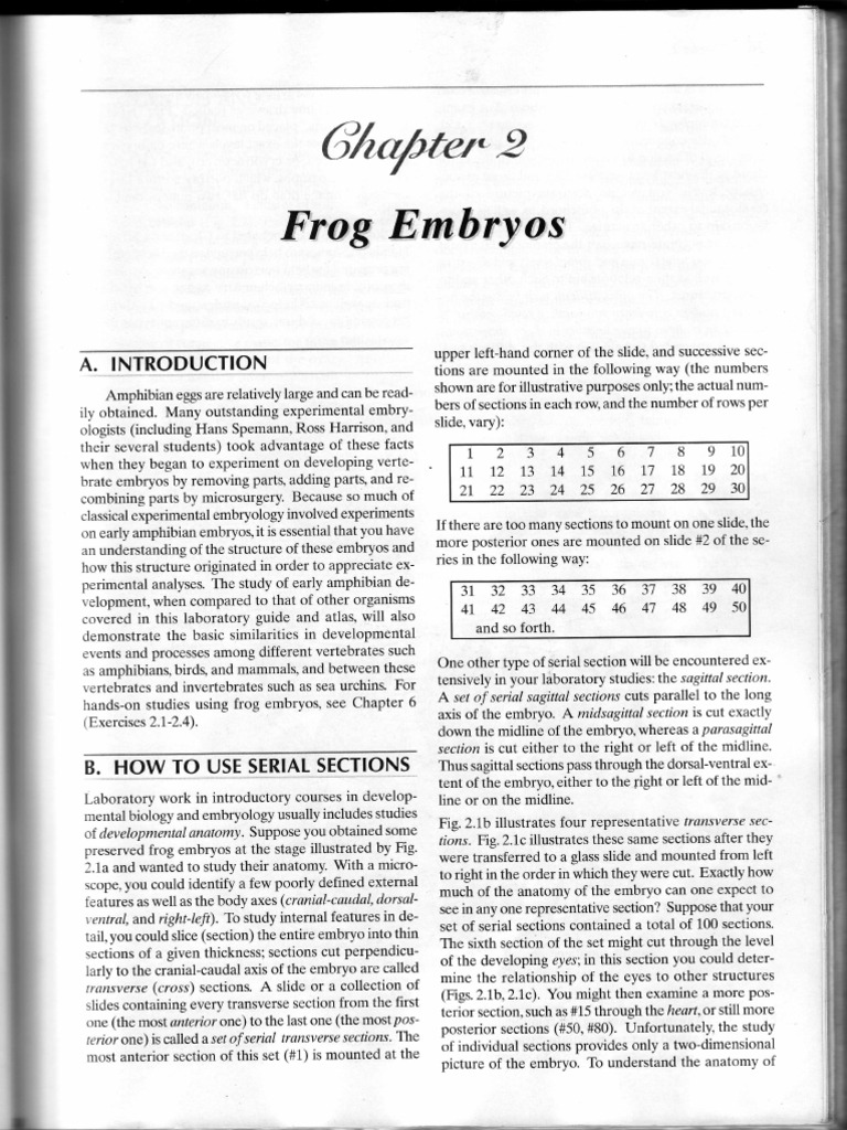 Frog serial section