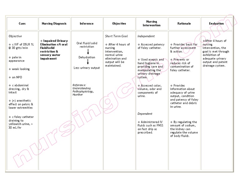 Impaired Urinary Elimination Care Plan | PDF | Urine | Urinary System