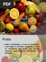 frutosepseudofrutos-090813104944-phpapp01.pptx