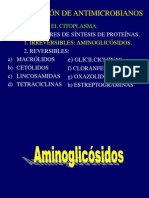 115909750 4 Aminoglicosidos Dra Raquel