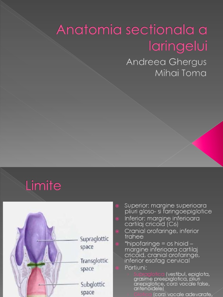 LARINGE | PDF