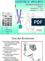 2012 klh5 Genetika DNA RNA PDF