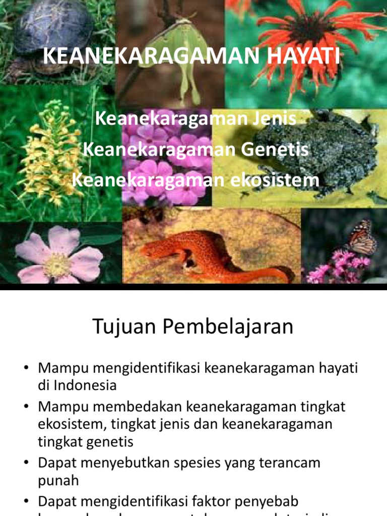 Keanekaragaman Hayati PDF