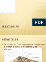 Huesos Del Pie