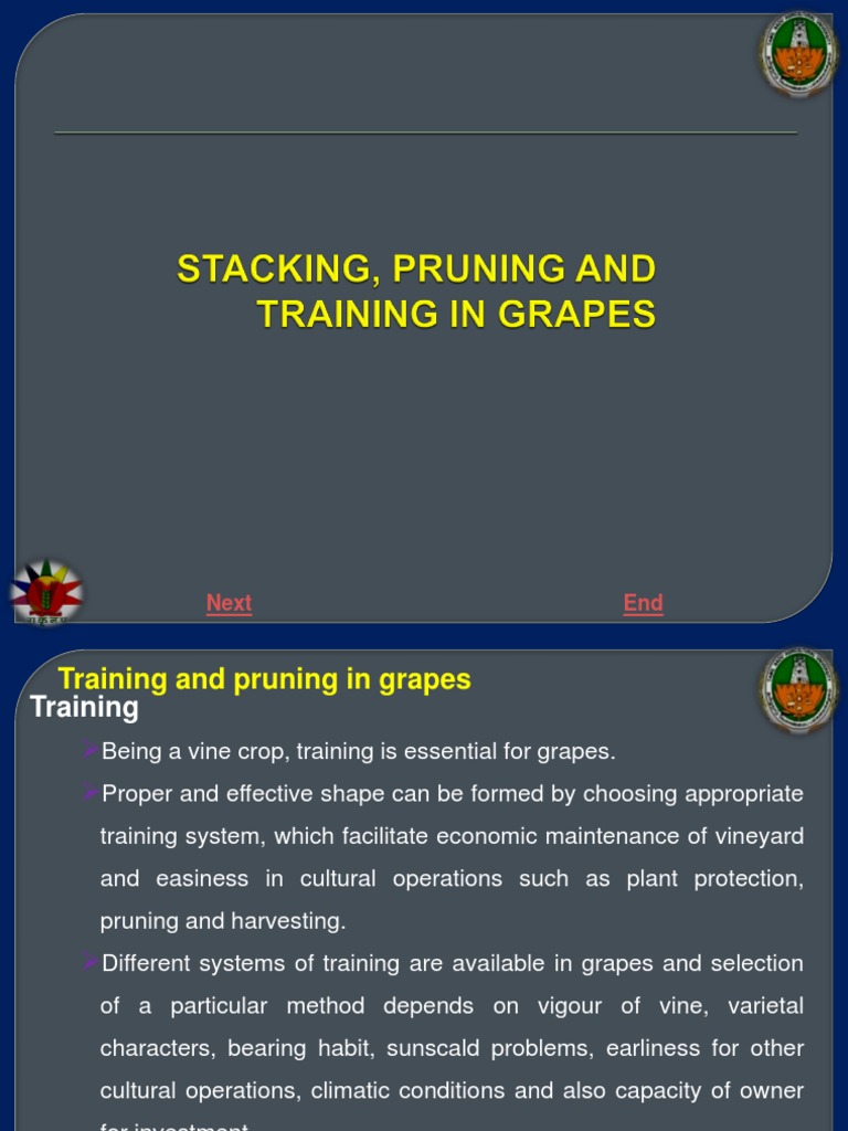 Grape Vine Training and Pruning Methods | PDF | Wine | Plants