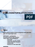 GNATOPALATOSCHIZIS