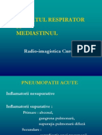 CURS 3 RespiratorUL