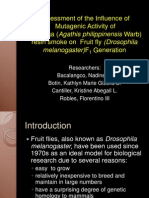 Assessment of Mutagenic Activity of Manila Copal smoke to Drosophila melanogaster