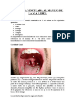 Anatomía vinculada al manejo de la Vía Aérea