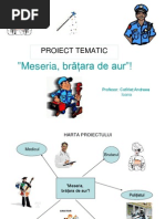 1proiect De Activitate Integrata Meserii