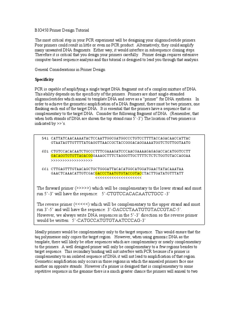 Primer Design | PDF