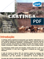 Seminario Caatinga