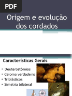 Origem e Evolução dos Cordados