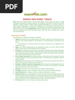 Download Bones and Bone Tissue by Examvillecom SN12249512 doc pdf