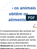 Como Os Animais Obtêm Os Alimentos