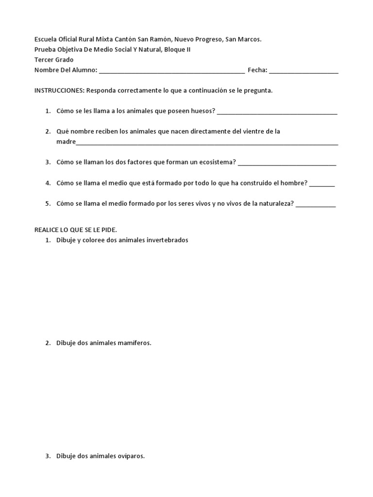 Examen Medio Social y Natural | PDF