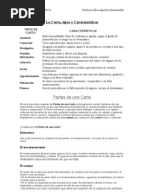 Características de la carta formal