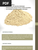 Download Bentonita Expo by Diego de la O SN122520812 doc pdf