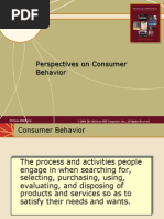 Perspectives On Consumer Behavior: Mcgraw-Hill/Irwin © 2004 The Mcgraw-Hill Companies, Inc., All Rights Reserved