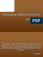 20789698-culturile-Africii