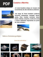 Aula 4 Litoral e Relevo Submarino