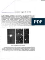 Evolución química