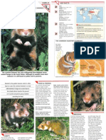 Wildlife Fact File - Mammals - Pgs. 41-50