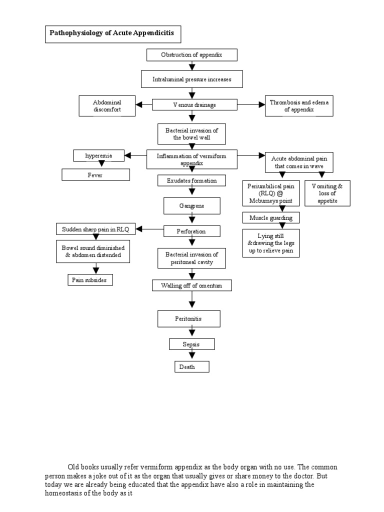 Pathophysiology of Acute Appendicitis | PDF