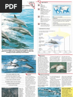 Download Wildlife Fact File - Mammals - Pgs 61-70 by ClearMind84 SN122597072 doc pdf